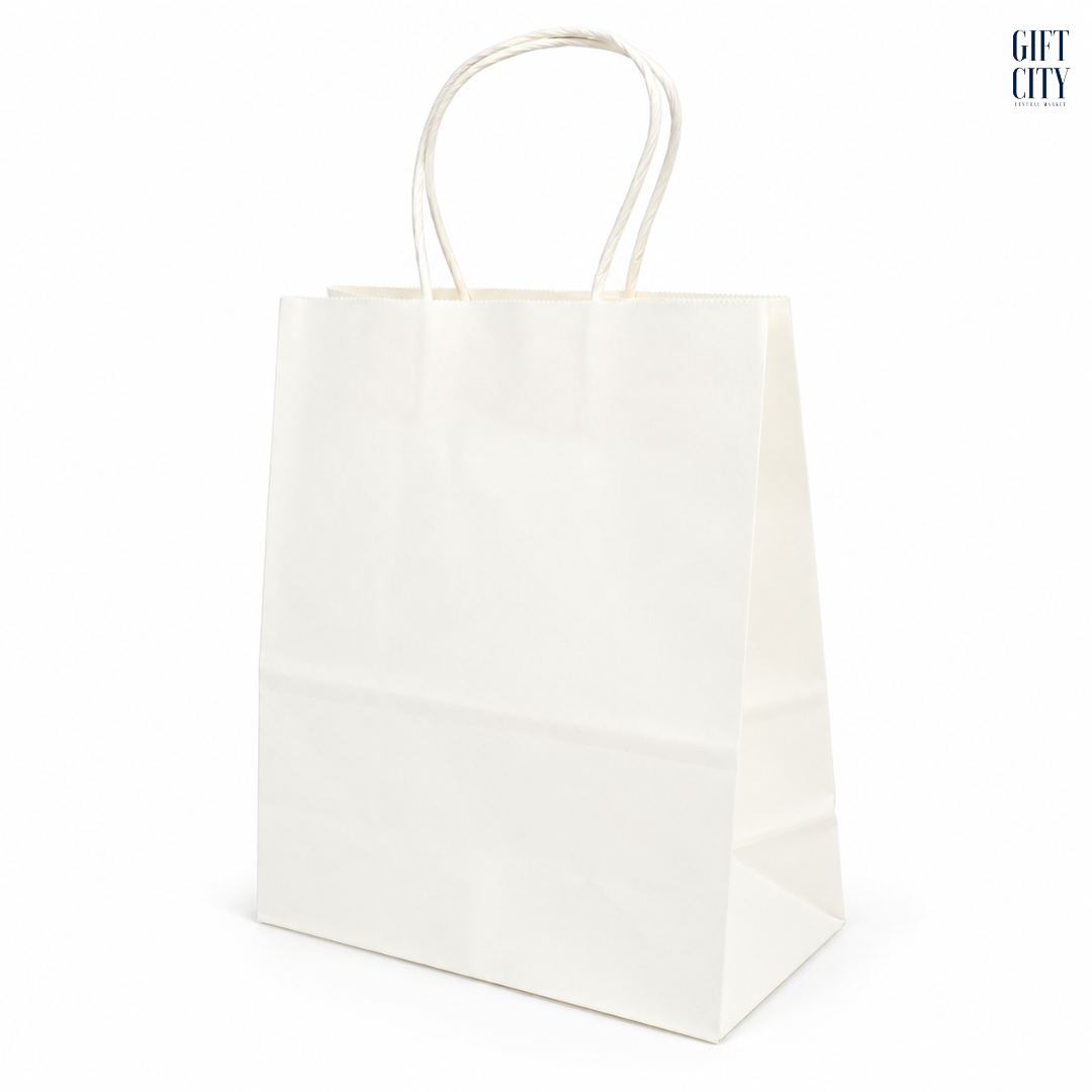 Plain Paper Bag with Brown Twisted Handle 22×27cm | 12 Pc Pack