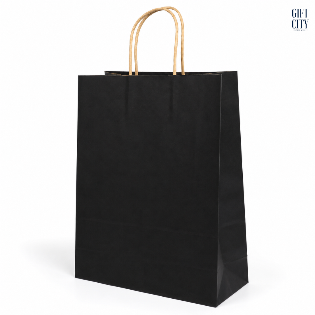Plain Paper Bag with Brown Twisted Handle 31x42 cm | 12 Pc Pack