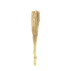 pampass dried grass