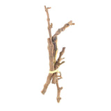 Natural Dried Vase Filler Sticks
