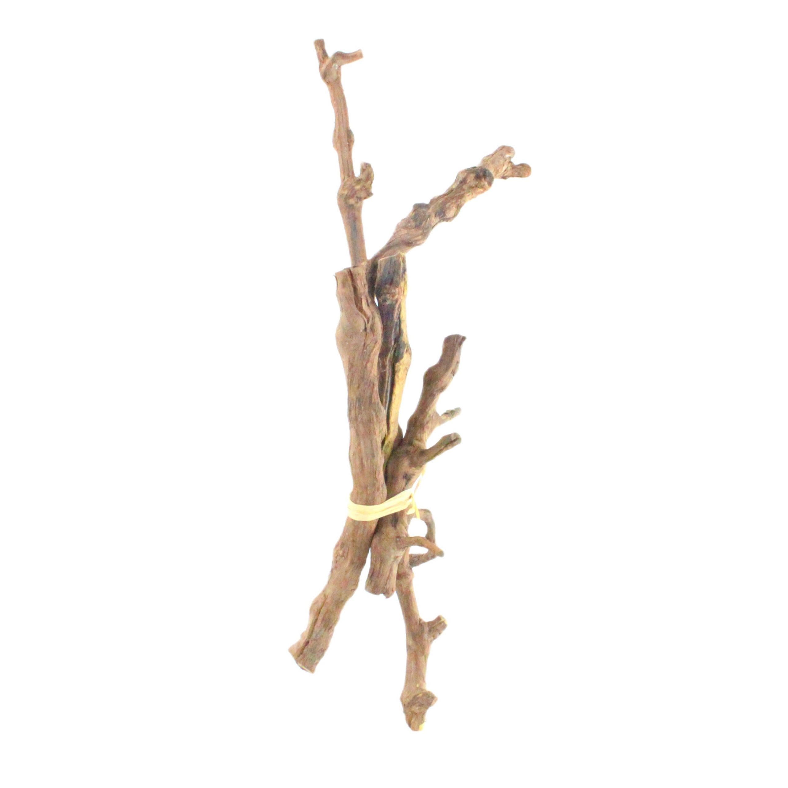 Natural Dried Vase Filler Sticks
