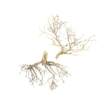Natural Dried Twigs Branch Root
