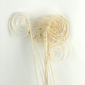 cane coil stick
