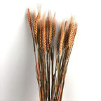 Dried Wheat Sticks for decoration for Home Decor, Office, Living Room and Wedding Decor.