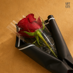 The Signature Single | Premium Red Rose