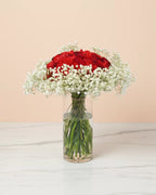 red carnation and baby breath combo vase fresh red carnation gypsophila arrangement red carnation flower vase with baby breath elegant carnation vase arrangement