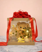 teddy and twinkle gift box cute teddy surprise box plush teddy gift box teddy gift for special occasions