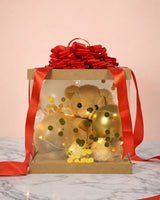 teddy and twinkle gift box cute teddy surprise box plush teddy gift box teddy gift for special occasions