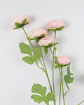 Artificial Persian Buttercup Flower Stick | Realistic Faux Ranunculus