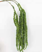 Artificial Fome Amaranthus Leaf Stick – Hanging | Faux Cascading Foliage