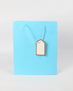 Plain Paper Bag with Empty White Tag | Large Gift Bags – 12pcs Pack