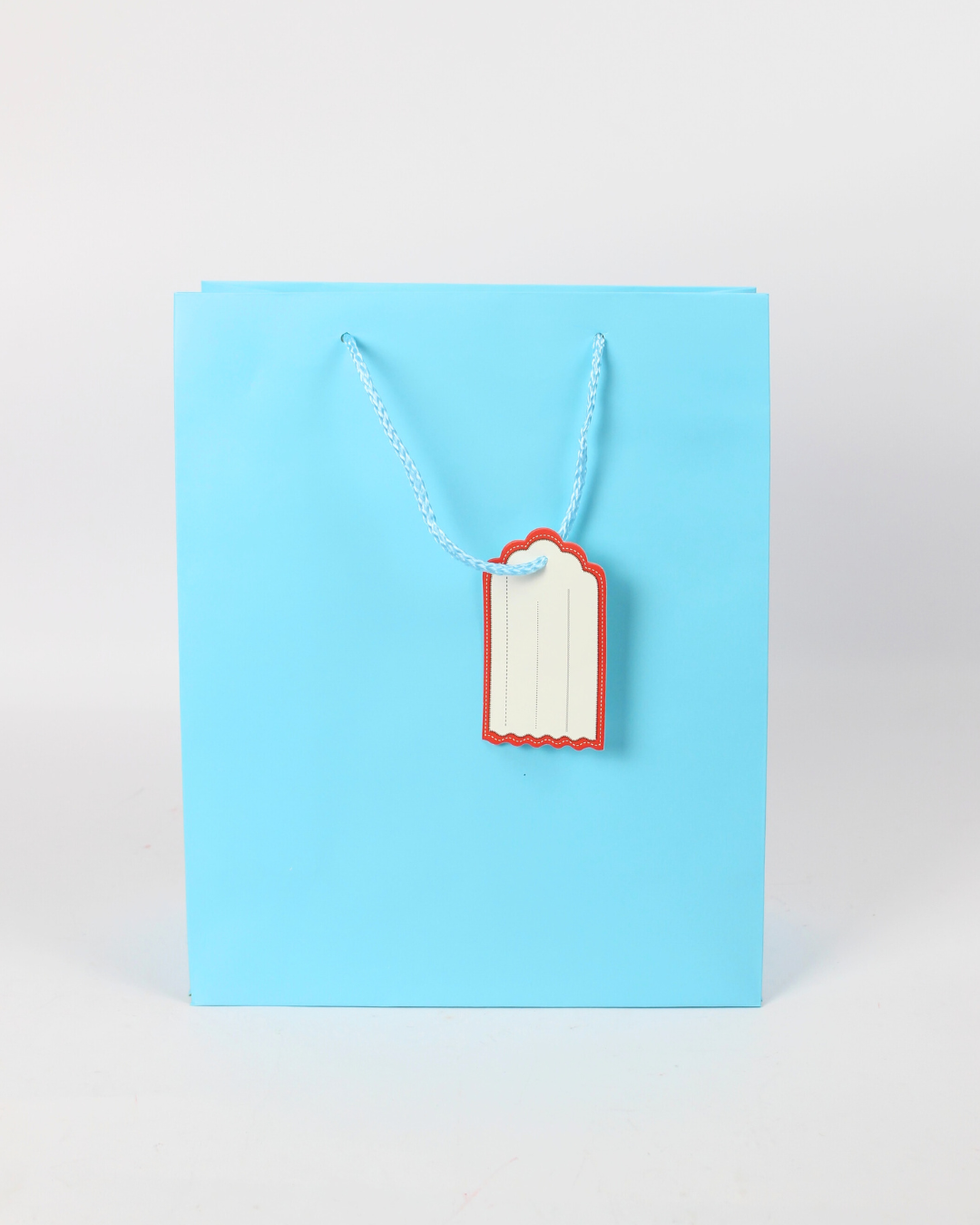 Plain Paper Bag with Empty White Tag | Large Gift Bags – 12pcs Pack