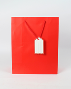 Plain Paper Bag with Empty White Tag | Large Gift Bags – 12pcs Pack
