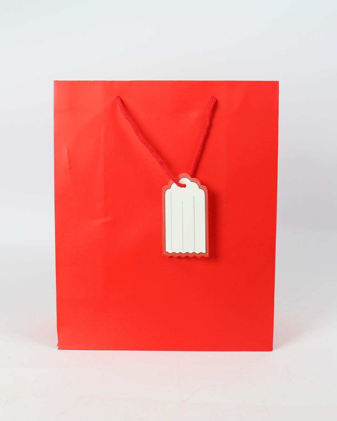 Plain Paper Bag with Empty White Tag | Large Gift Bags – 12pcs Pack