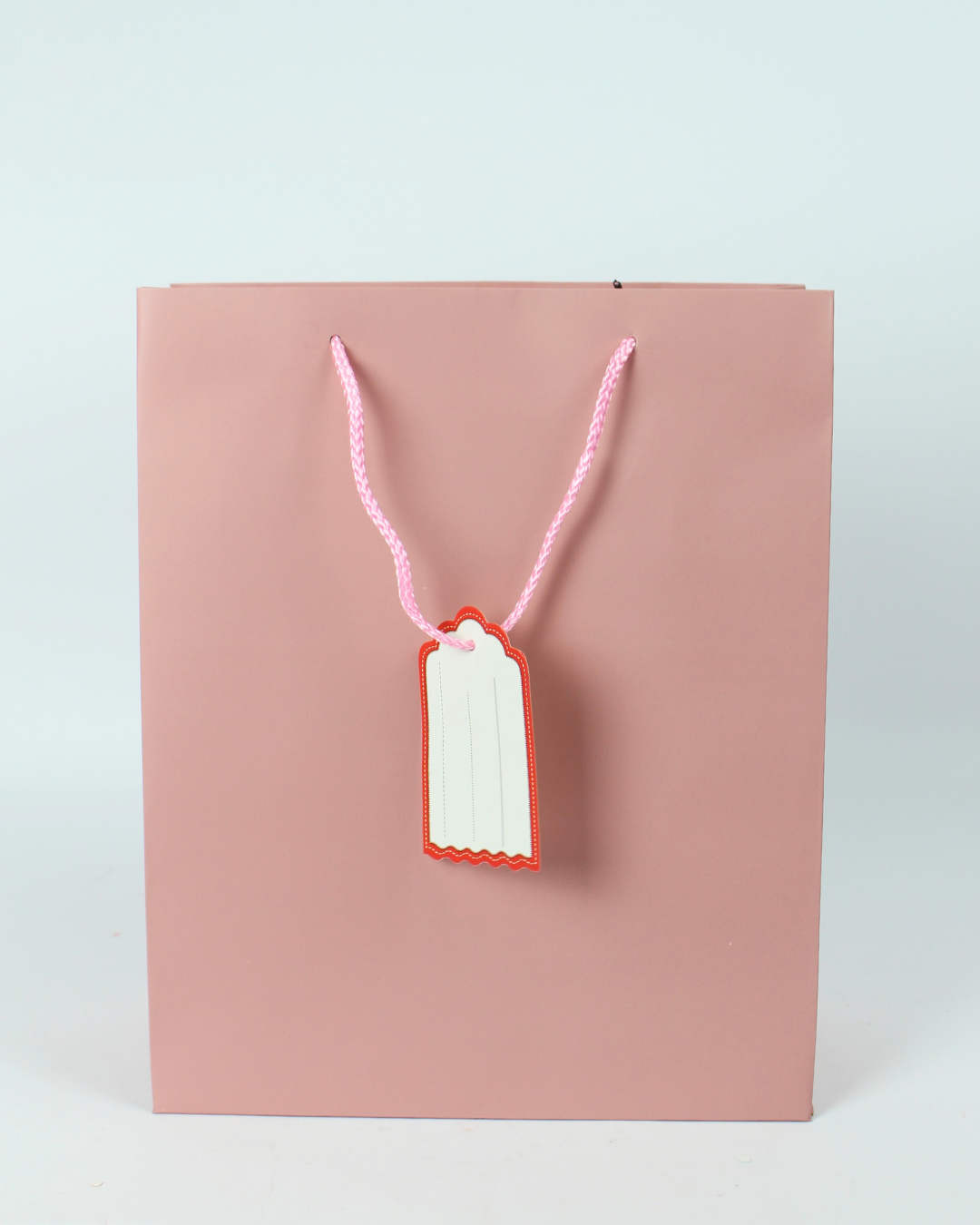 Plain Paper Bag with Empty White Tag | Large Gift Bags – 12pcs Pack