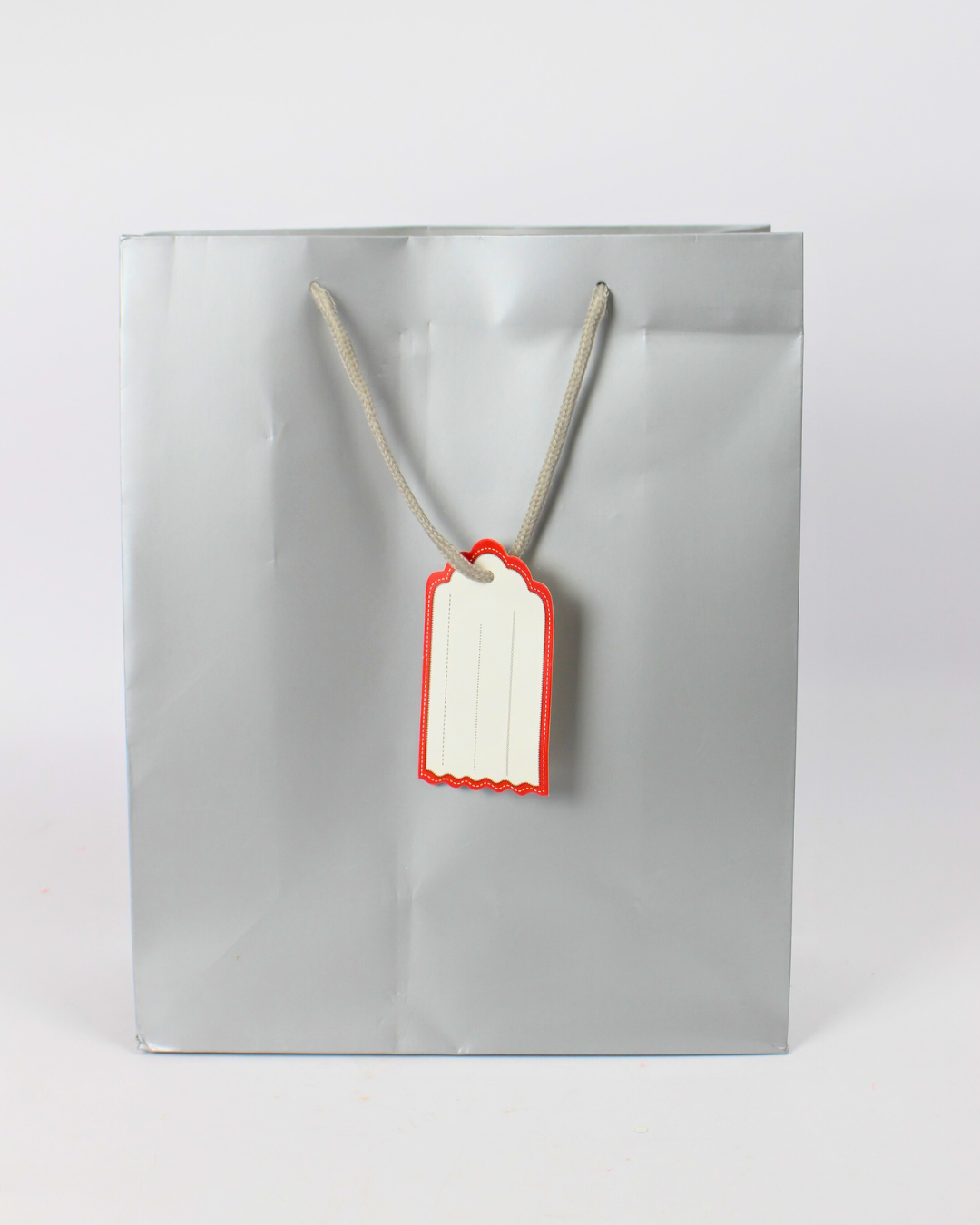 Plain Paper Bag with Empty White Tag | Large Gift Bags – 12pcs Pack