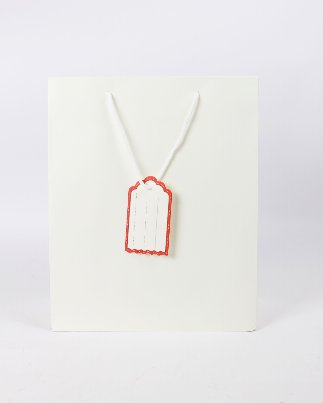 Plain Paper Bag with Empty White Tag | Large Gift Bags – 12pcs Pack