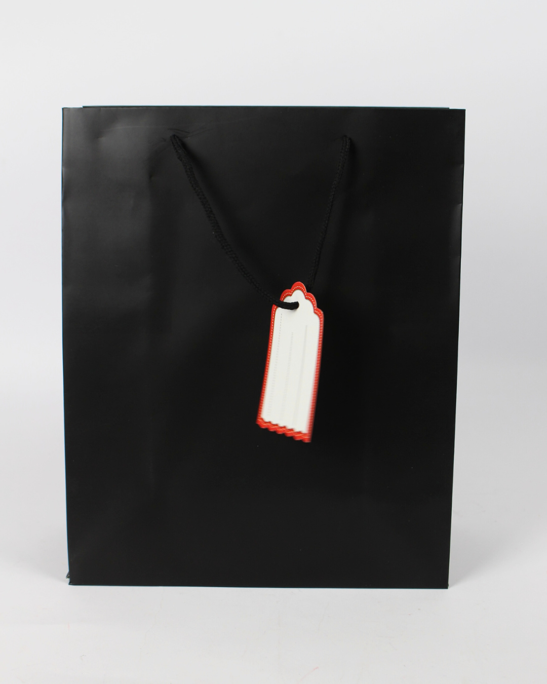 Plain Paper Bag with Empty White Tag | Large Gift Bags – 12pcs Pack
