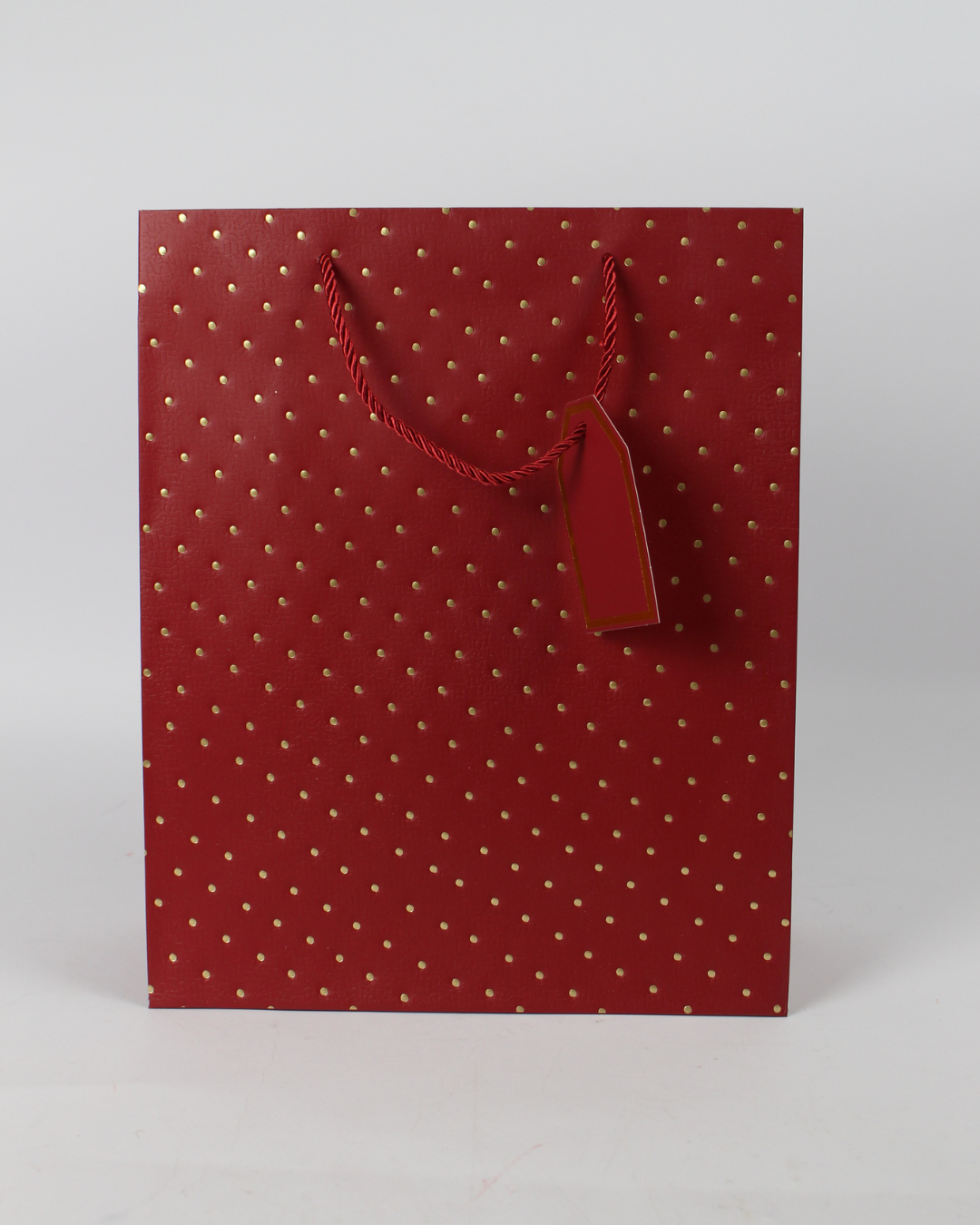 Paper Bag with Golden Polka Dot and Empty Tag | Large Gift Bags – 12pcs