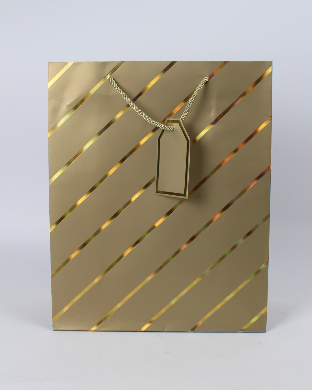 Paper Bag with Gold Foil Line Print and Empty Tag | Large Gift Bags – 12pcs