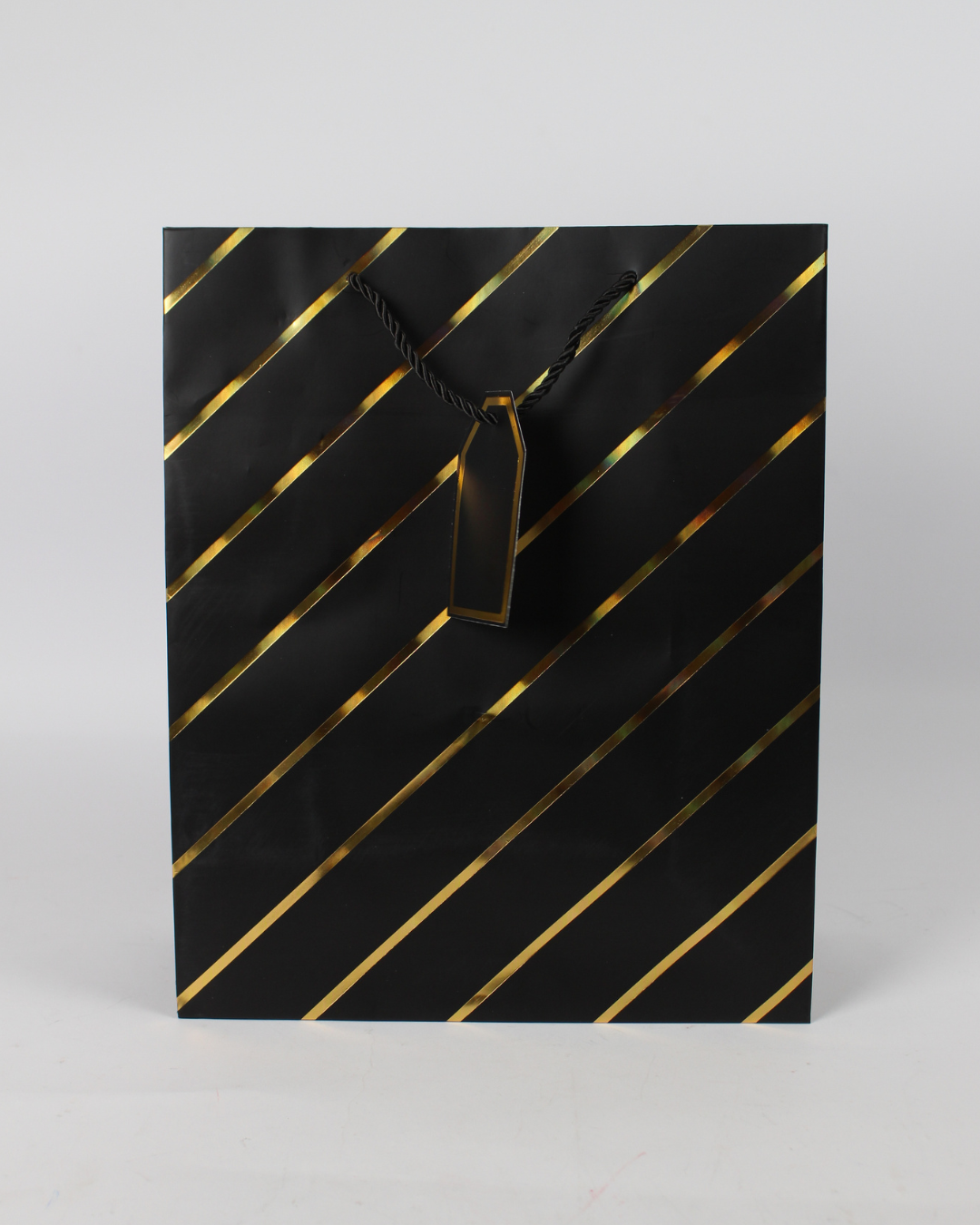 Paper Bag with Gold Foil Line Print and Empty Tag | Large Gift Bags – 12pcs
