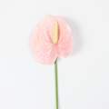 Artificial Anthurium Flower Stem | Realistic Silk Flower for Décor & Weddings