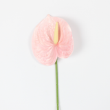 Artificial Anthurium Flower Stem | Realistic Silk Flower for Décor & Weddings