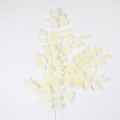 Artificial European Ash Stick Leaf | Realistic Decorative Foliage