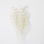 Artificial Italian Ruscus Flower Stick | Realistic Silk Greenery Stem