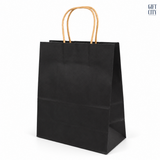 Plain Paper Bag with Brown Twisted Handle 22×27cm | 12 Pc Pack
