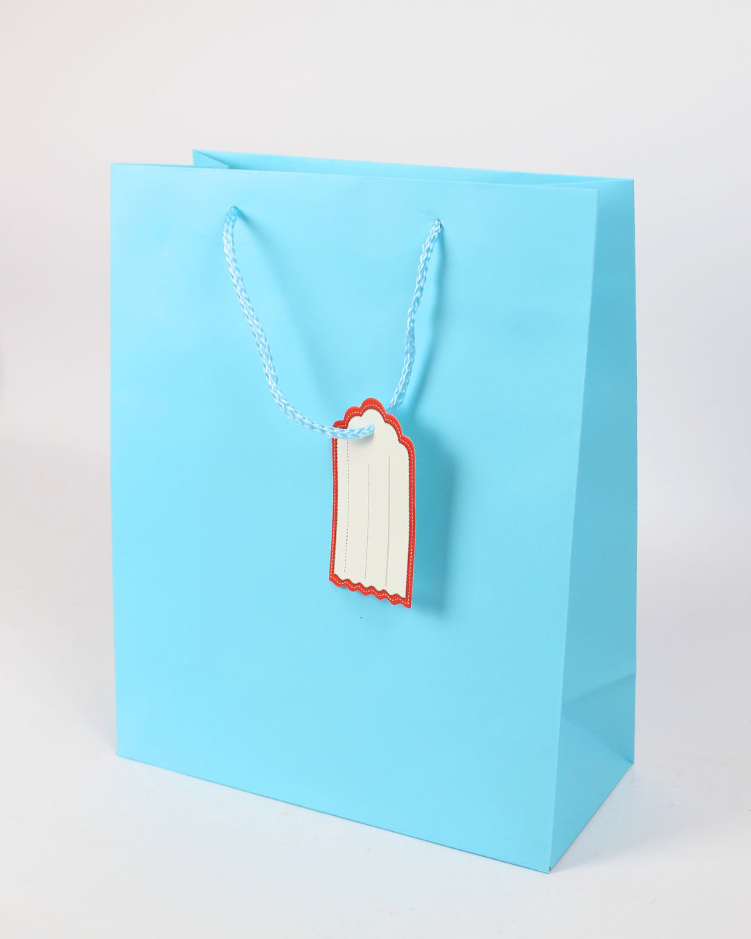Plain Paper Bag with Empty White Tag | Large Gift Bags – 12pcs Pack