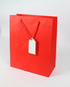 Plain Paper Bag with Empty White Tag | Large Gift Bags – 12pcs Pack