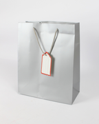 Plain Paper Bag with Empty White Tag | Large Gift Bags – 12pcs Pack