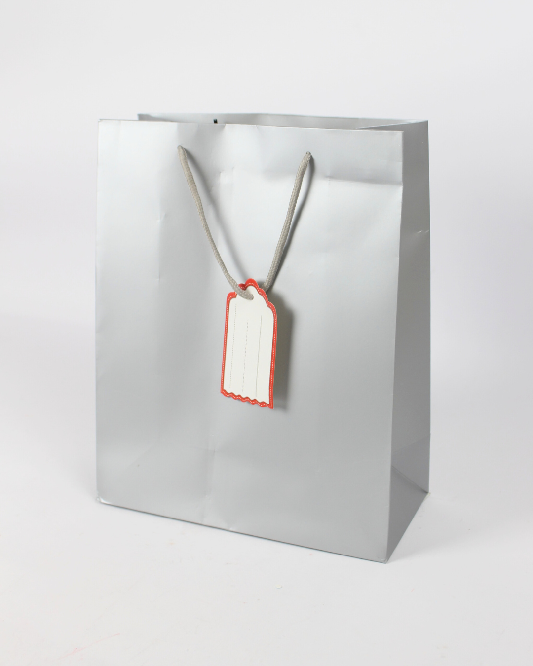 Plain Paper Bag with Empty White Tag | Large Gift Bags – 12pcs Pack