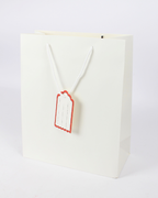 Plain Paper Bag with Empty White Tag | Large Gift Bags – 12pcs Pack
