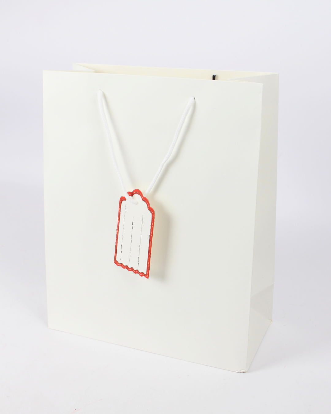 Plain Paper Bag with Empty White Tag | Large Gift Bags – 12pcs Pack