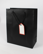 Plain Paper Bag with Empty White Tag | Large Gift Bags – 12pcs Pack