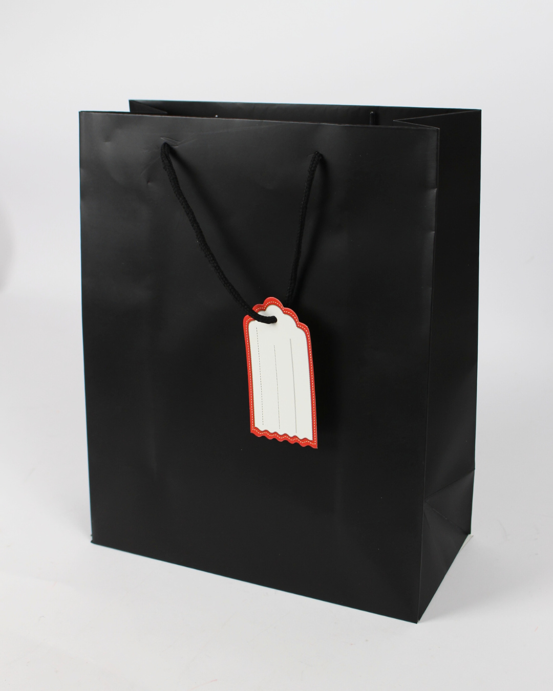 Plain Paper Bag with Empty White Tag | Large Gift Bags – 12pcs Pack