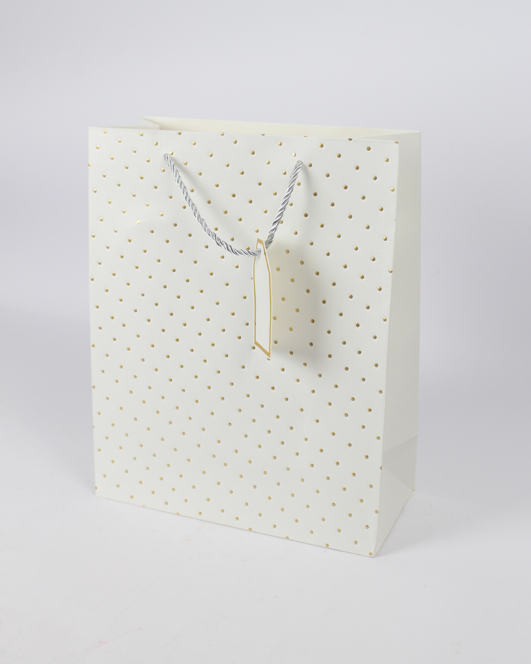 Paper Bag with Golden Polka Dot and Empty Tag | Large Gift Bags – 12pcs