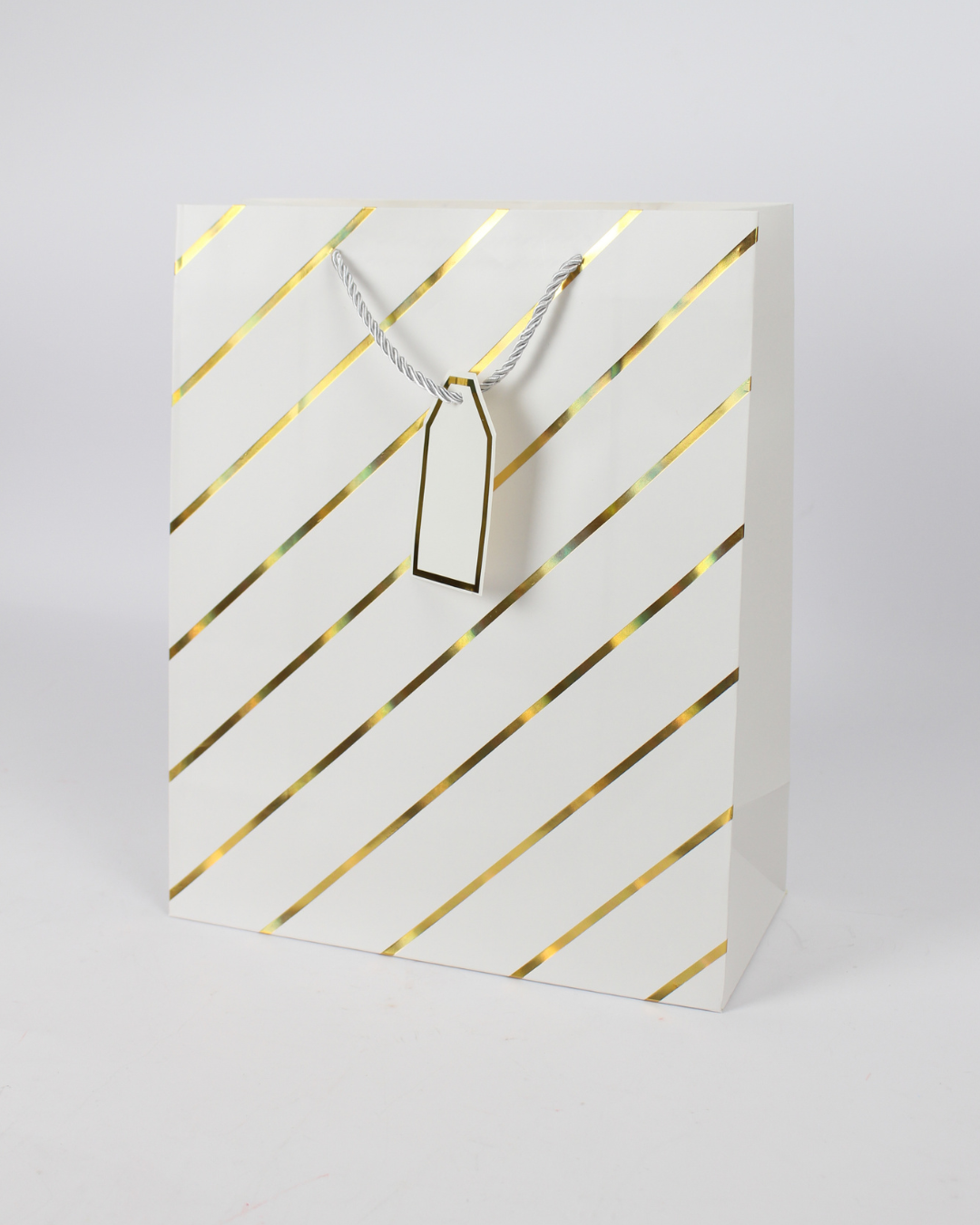 Paper Bag with Gold Foil Line Print and Empty Tag | Large Gift Bags – 12pcs