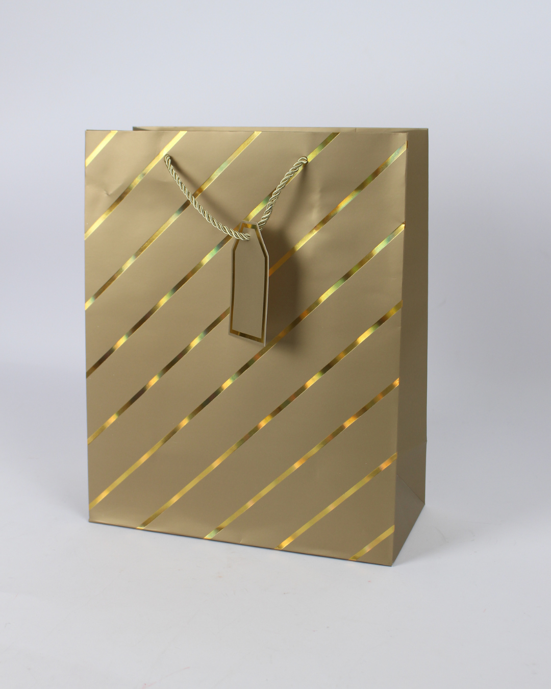 Paper Bag with Gold Foil Line Print and Empty Tag | Large Gift Bags – 12pcs