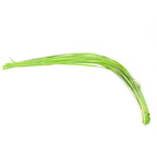 Artificial Pandan Leaves Bundle 50pcs | Tropical Decorative Foliage
