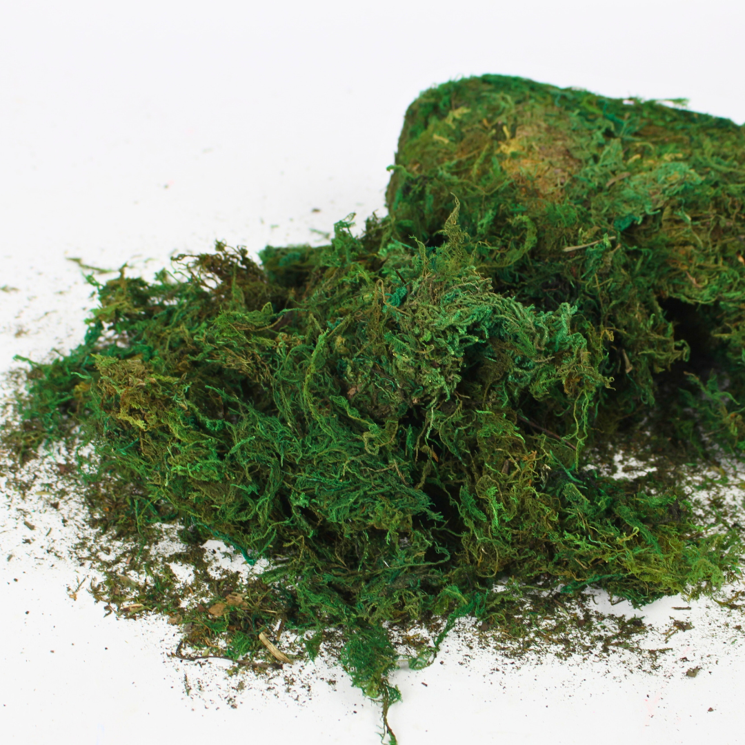 Artificial Green Moss 850g Pack | Decorative Craft Moss
