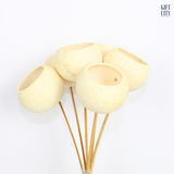 Natural Ivory Bell Cup Stems Set of 6 | Elegant Home Décor