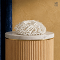 White Birdsnest Coral Cluster | Authentic Marine Specimen Coffee Table Centerpiece