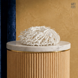 White Birdsnest Coral Cluster | Authentic Marine Specimen Coffee Table Centerpiece