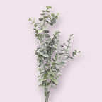 Artificial Eucalyptus