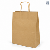 Plain Paper Bag with Brown Twisted Handle 31x42 cm | 12 Pc Pack