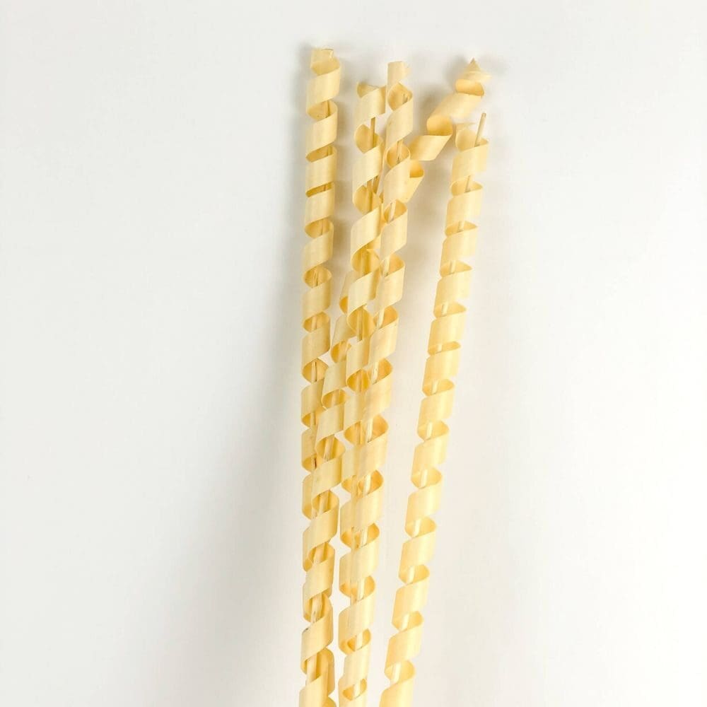 Natural Dried Cane Spring