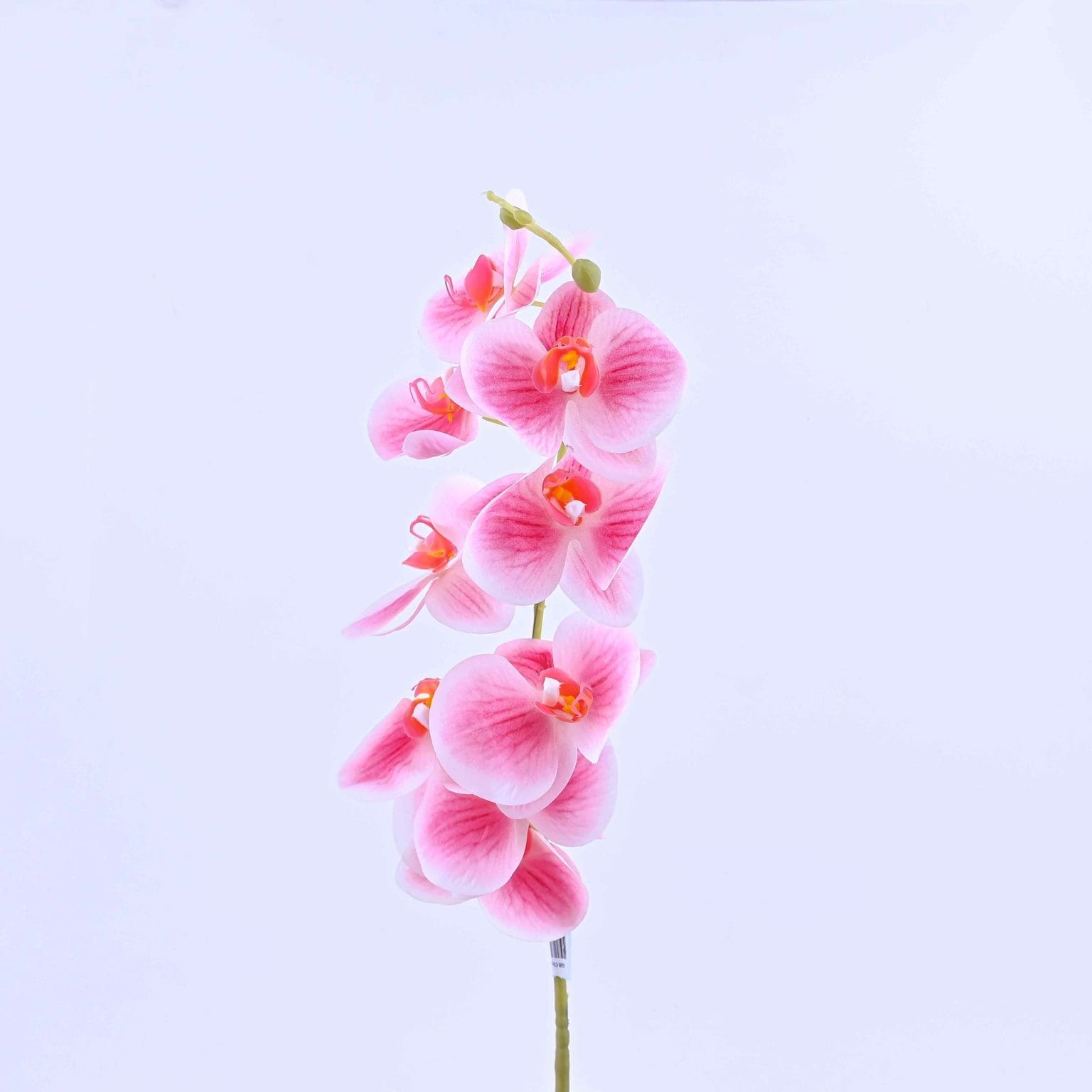 Artificial Orchid Flower Blissful Feel for Home, Office or Wedding